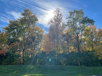 Wooded views